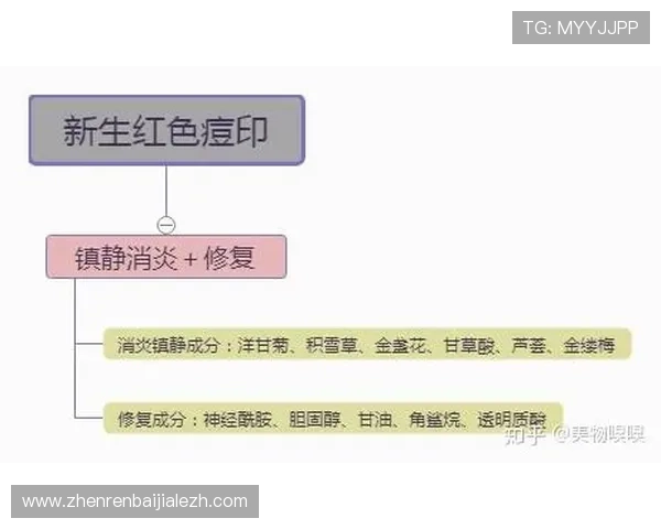 如何安全有效地进行ag视讯刷水操作完全指南 如何安全有效地进行ag视讯刷水操作完全指南